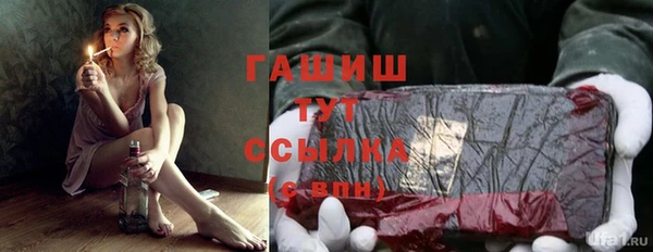 спиды Горняк