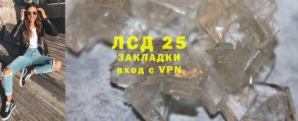 спиды Горняк