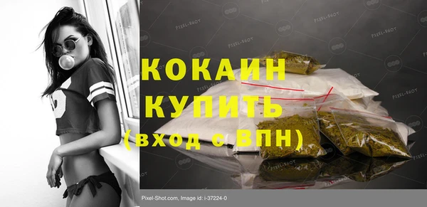 спиды Горняк