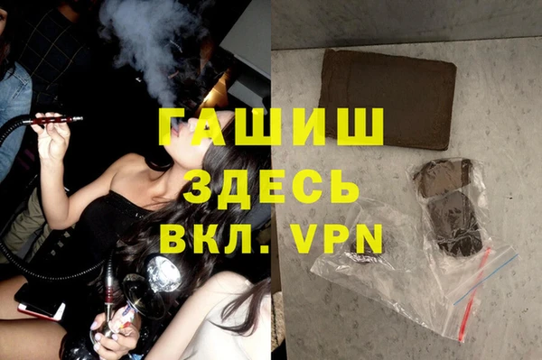 спиды Горняк