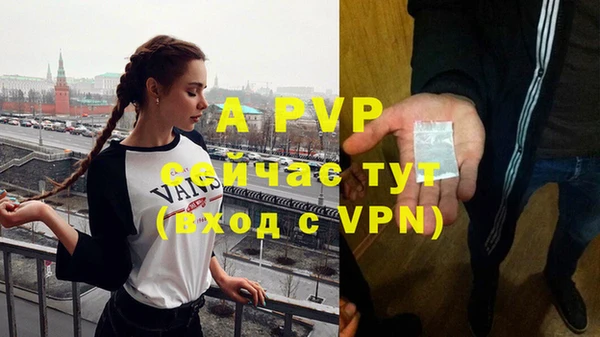 спиды Горняк