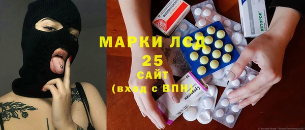спиды Горняк